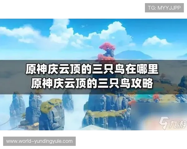 云顶平台网址快速访问指南,便捷登录云顶平台的官方入口方式 云顶平台网址快速访问指南,便捷登录云顶平台的官方入口方式