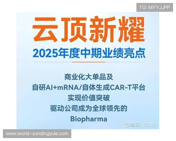 云顶新耀官网游戏下载安装指南,详细步骤帮你快速进入云顶新耀官网游戏世界