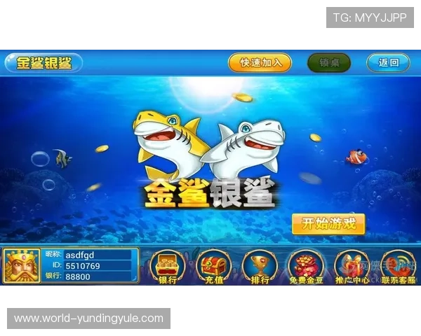 金鲨银鲨官网安全支付方式，保障玩家资金安全与交易顺畅